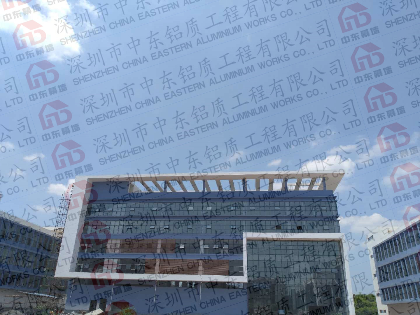 赢咖7